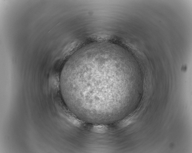 X0000092000240200709131520