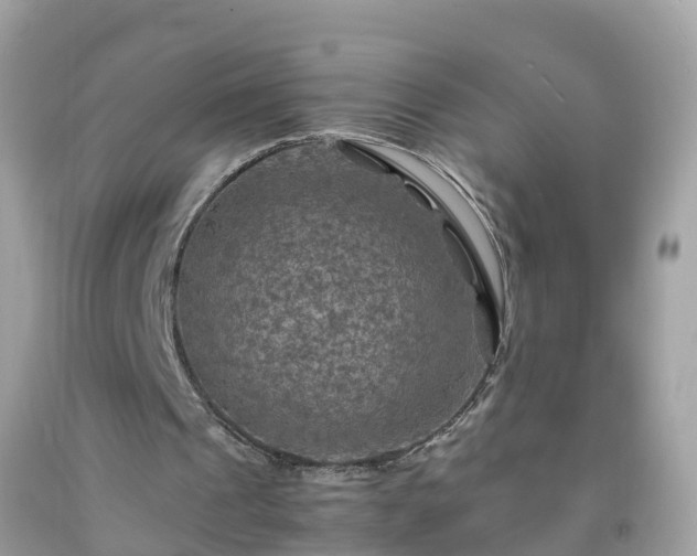 X0000092000241200709131520