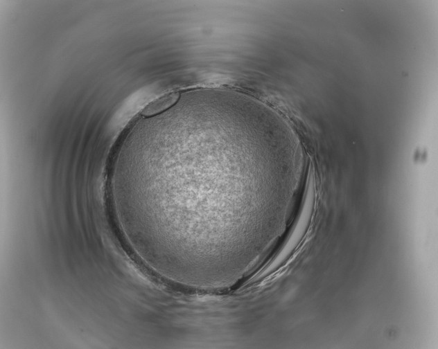 X0000092000242200709131520