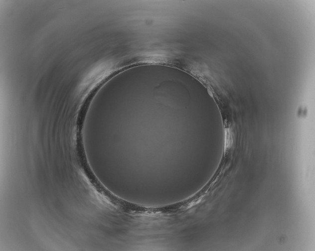 X0000092000243200709131520