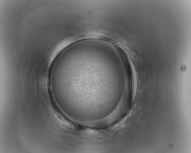 X0000092000244200709131520