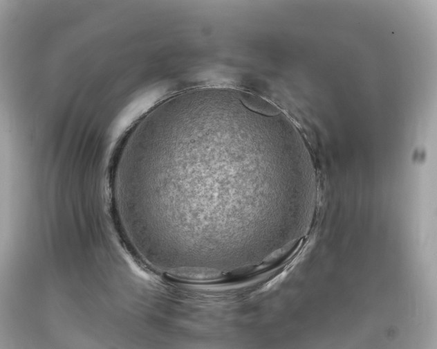 X0000092000245200709131520