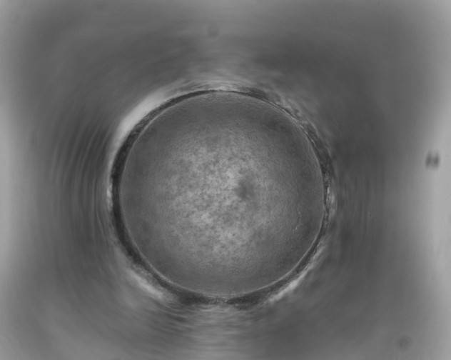 X0000092000246200709131520