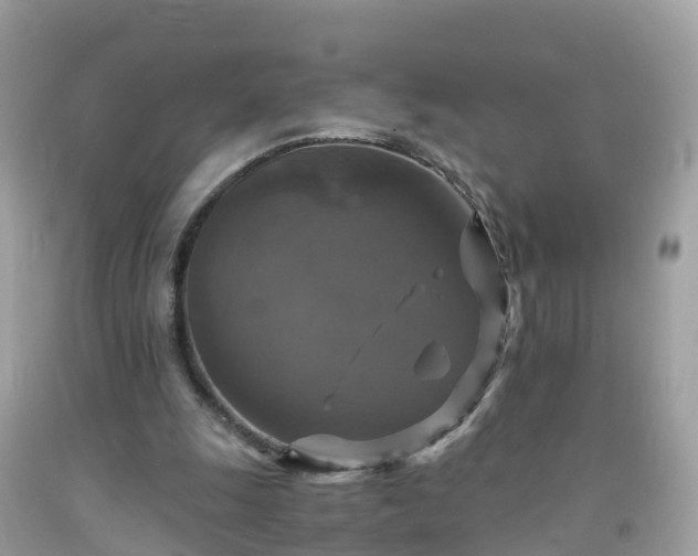 X0000092000247200709131520