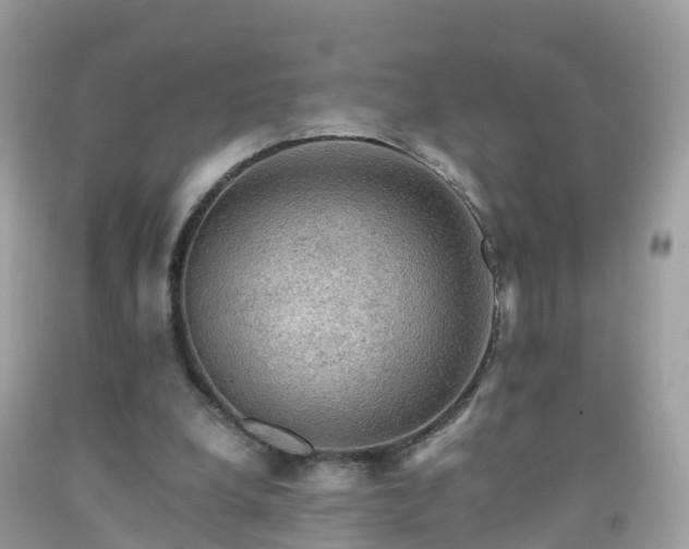 X0000092000248200709131520