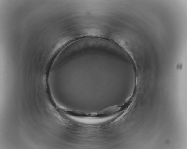 X0000092000249200709131520