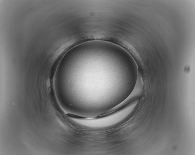 X0000092000251200709131520