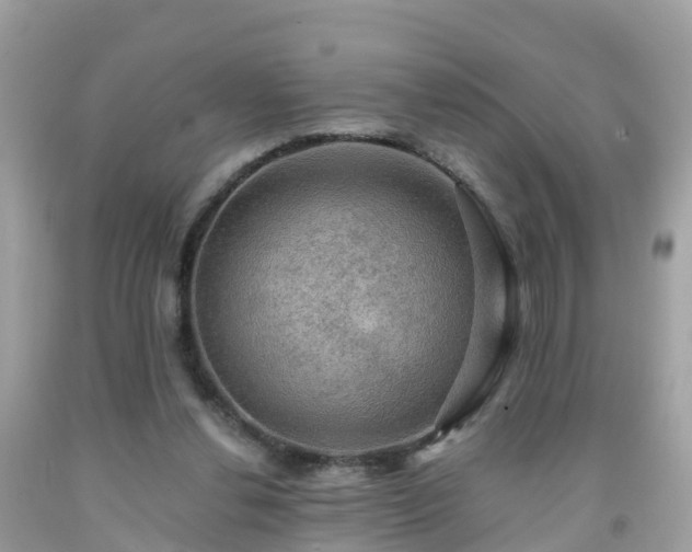 X0000092000252200709131520