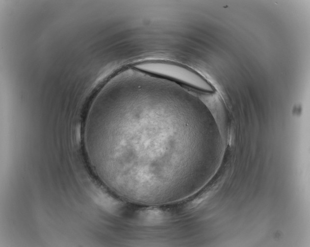 X0000092000253200709131520