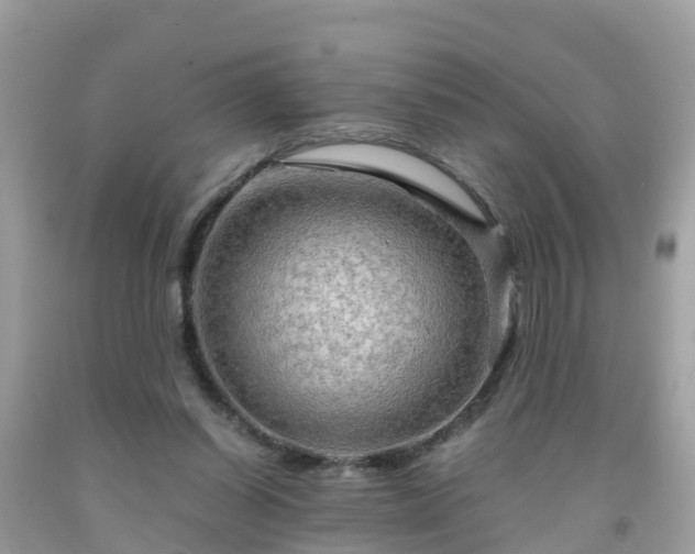 X0000092000254200709131520