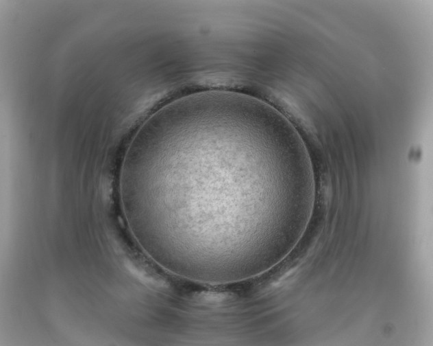 X0000092000255200709131520