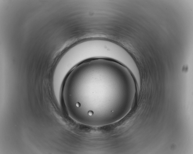 X0000092000256200709131520