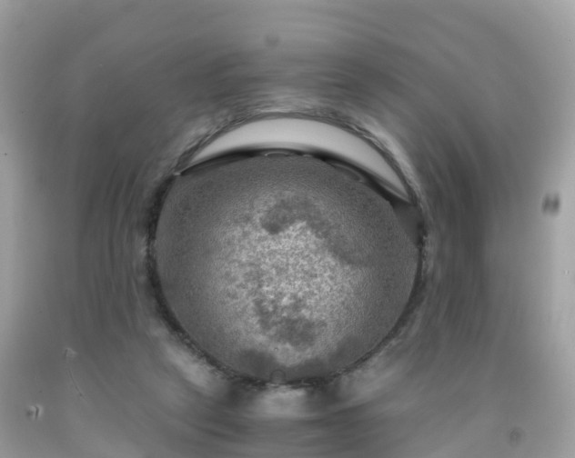 X0000092000257200709131520