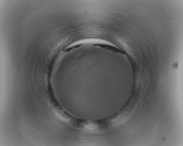 X0000092000258200709131520