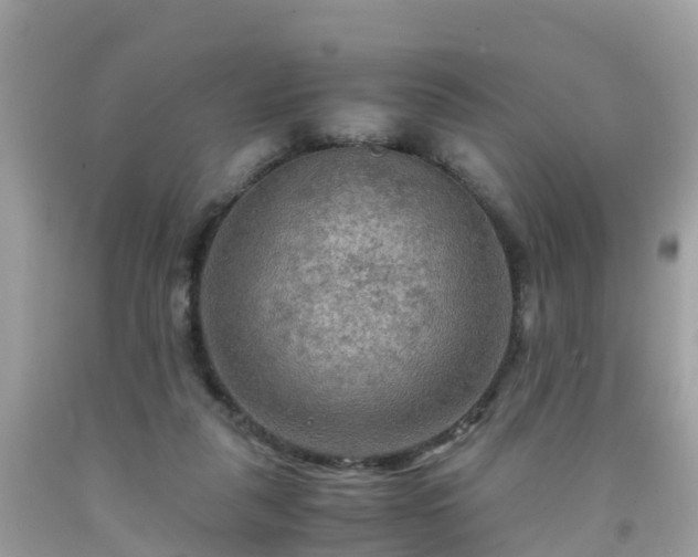 X0000092000259200709131520