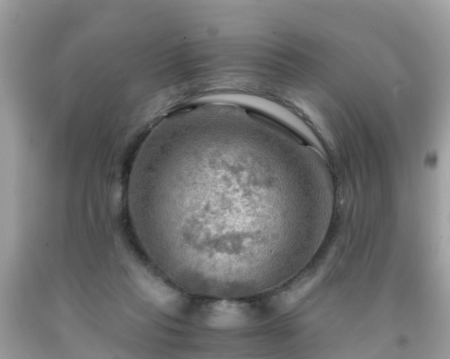 X0000092000261200709131520