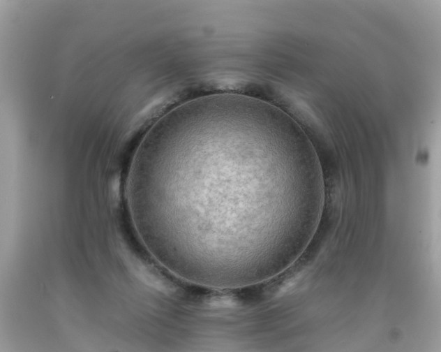 X0000092000262200709131520