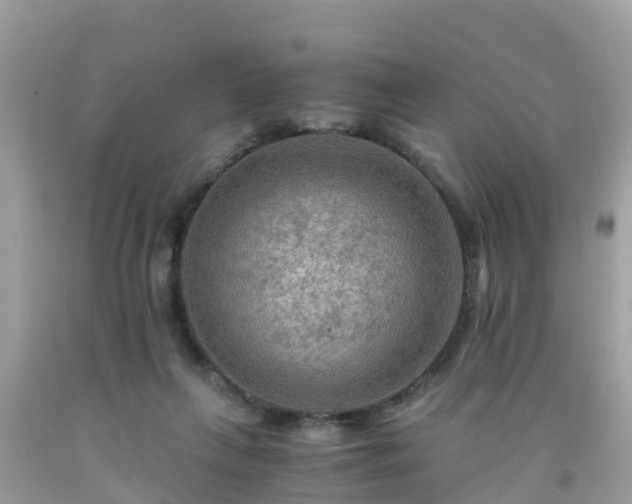 X0000092000263200709131520