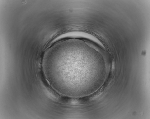 X0000092000264200709131520