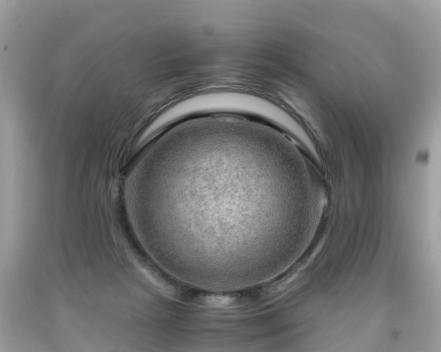 X0000092000265200709131520