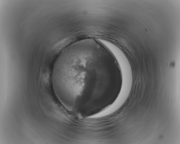 X0000092000266200709131520