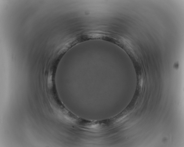 X0000092000267200709131520