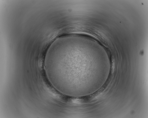 X0000092000268200709131520