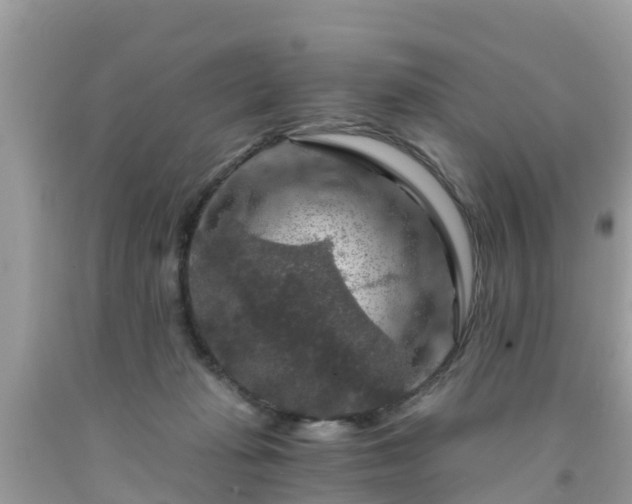 X0000092000269200709131520