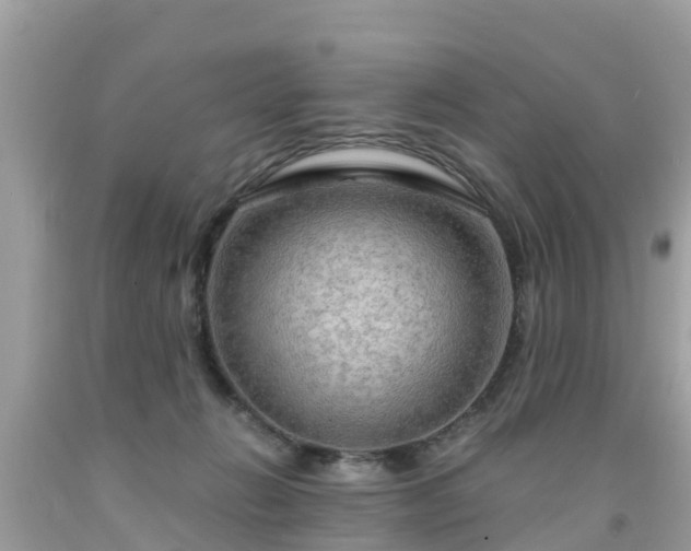 X0000092000270200709131520