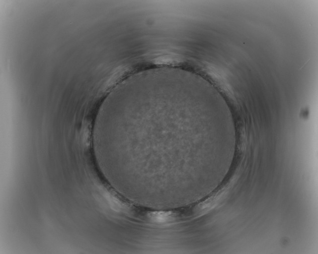 X0000092000273200709131520