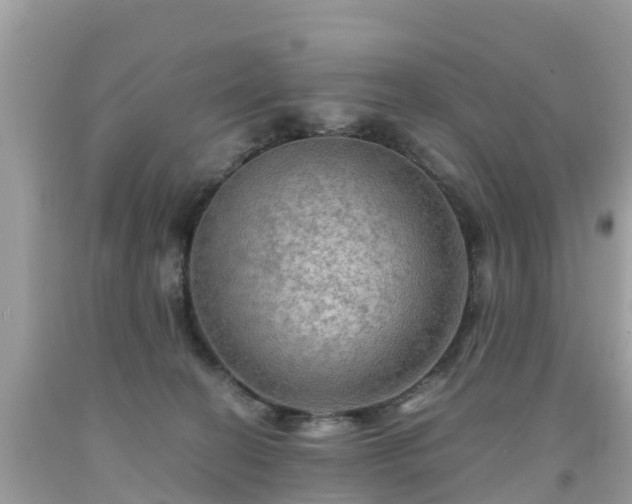 X0000092000274200709131520