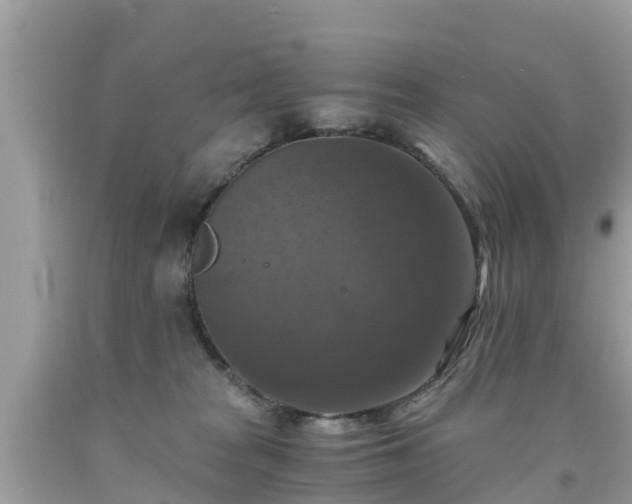 X0000092000277200709131520