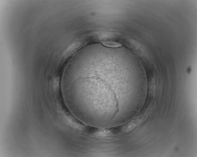 X0000092000278200709131520