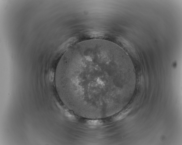 X0000092000281200709131520