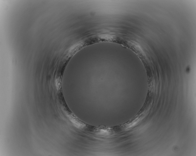 X0000092000285200709131520