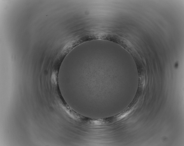 X0000092000286200709131520