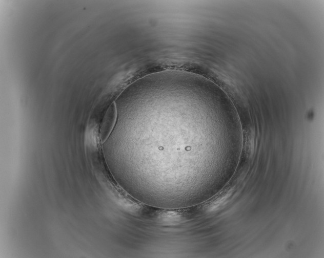 X0000092000287200709131520