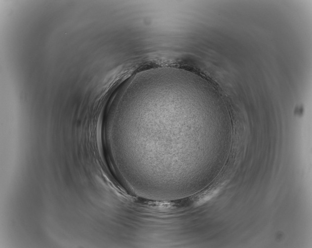 X0000092000288200709131520