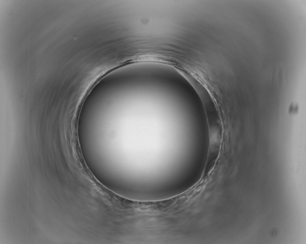 X0000092000289200709131520