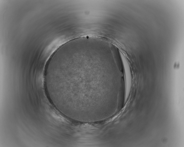 X0000092000290200709131520