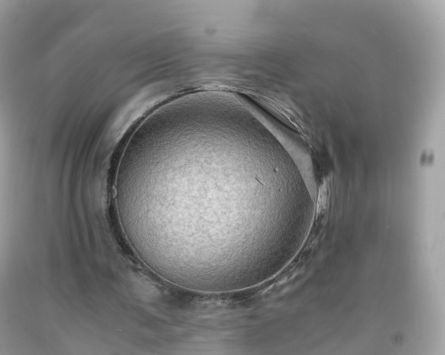 X0000092000291200709131520