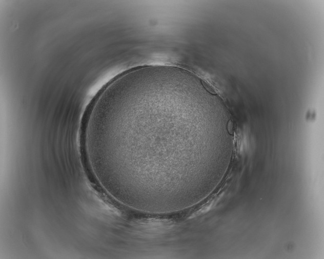 X0000092000292200709131520