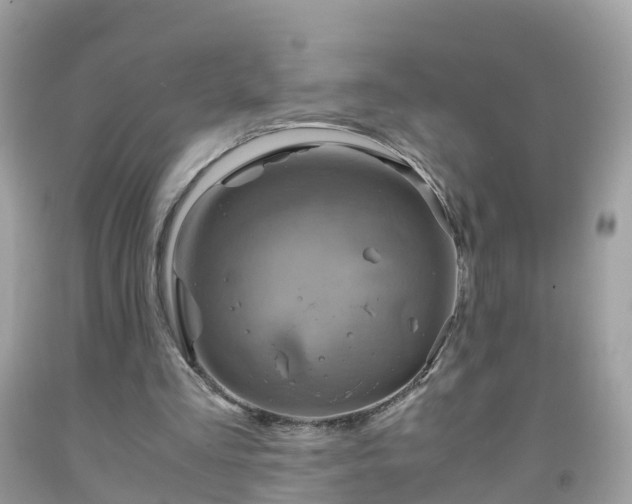 X0000092000293200709131520