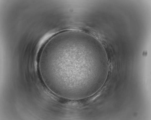 X0000092000294200709131520