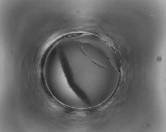 X0000092000295200709131520