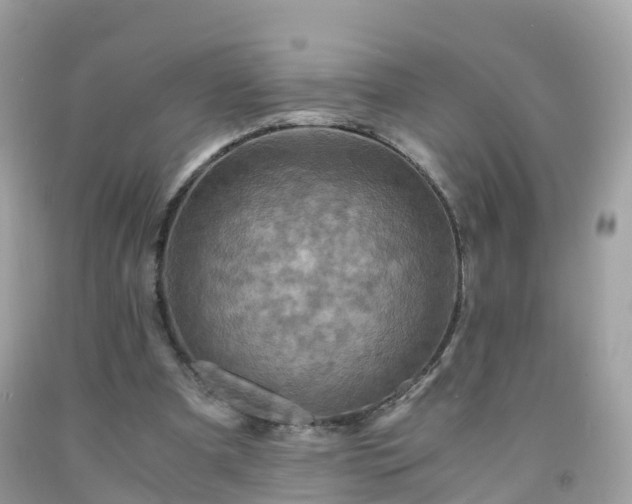 X0000092000297200709131520