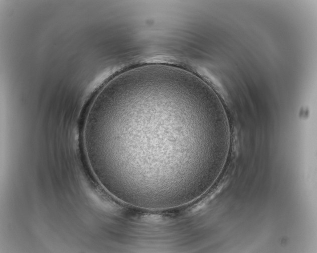 X0000092000298200709131520