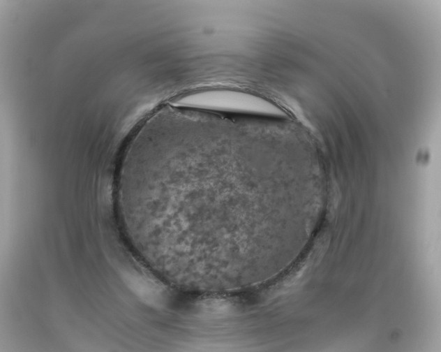 X0000092000299200709131520