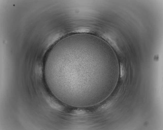 X0000092000300200709131520