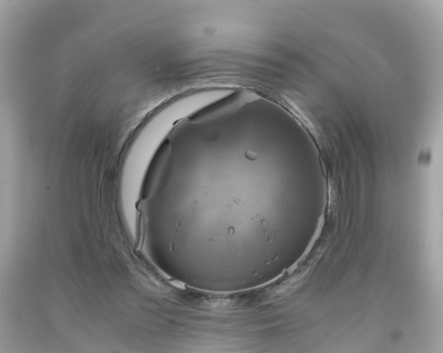 X0000092000301200709131520